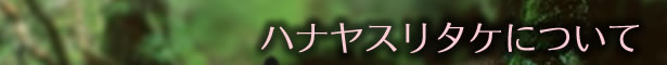 niX^PɒЂ