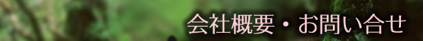 A_ۂɂ
